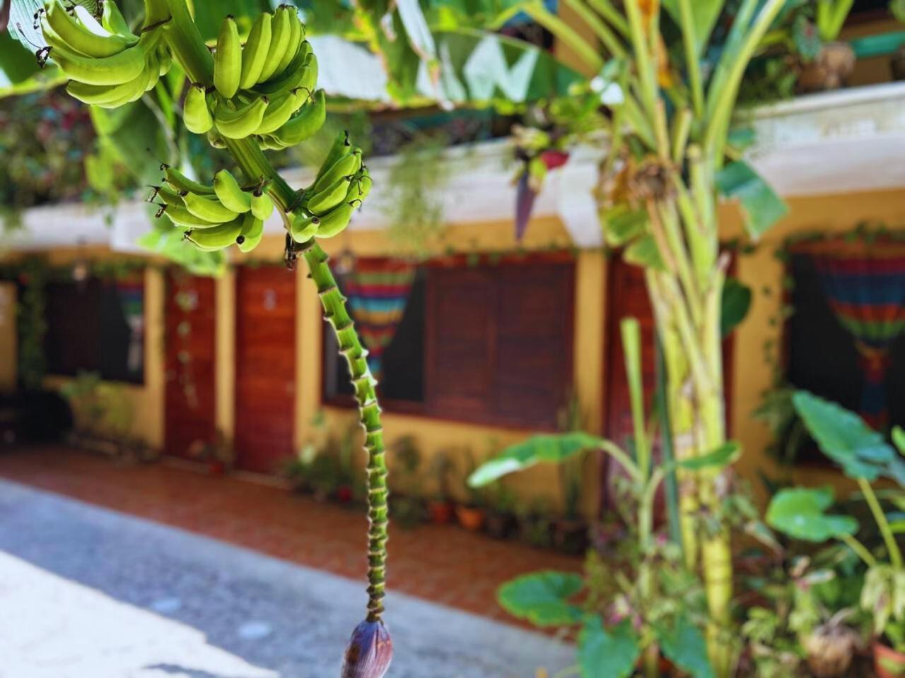 Hotel Casa Del Mar Mazunte Santa María Tonameca Esterno foto